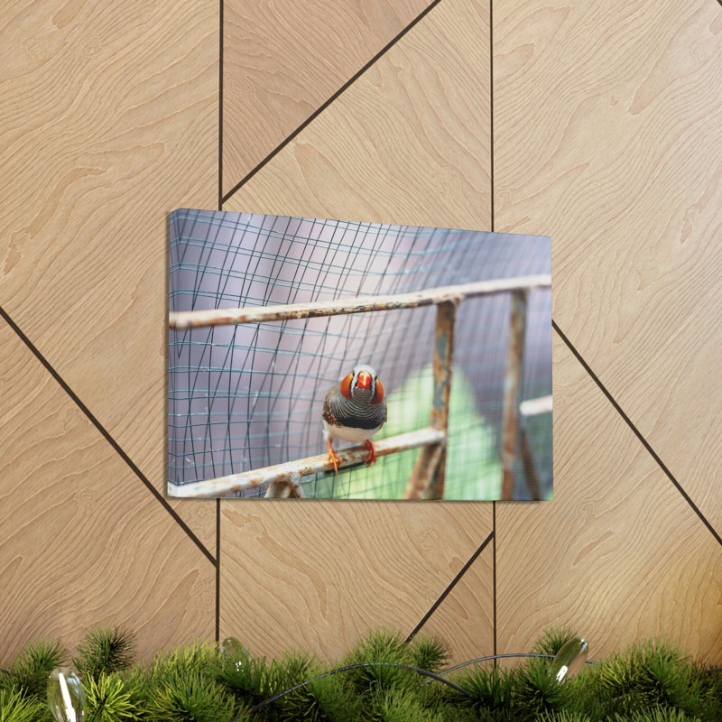 No Frame Print on Canvas, 30.48cm H x 40.64cm W