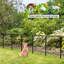 Pet Pen-1142936761