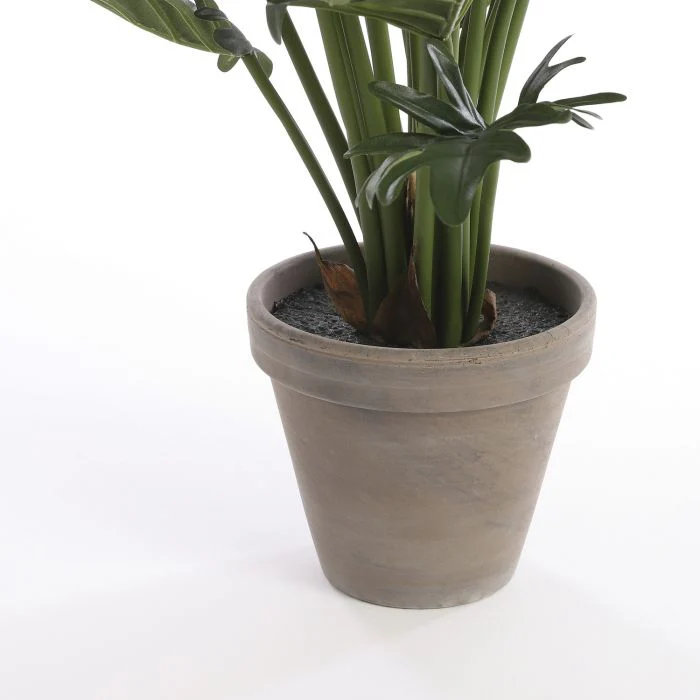 50cm Faux Philodendron Plant in Terracotta Pot