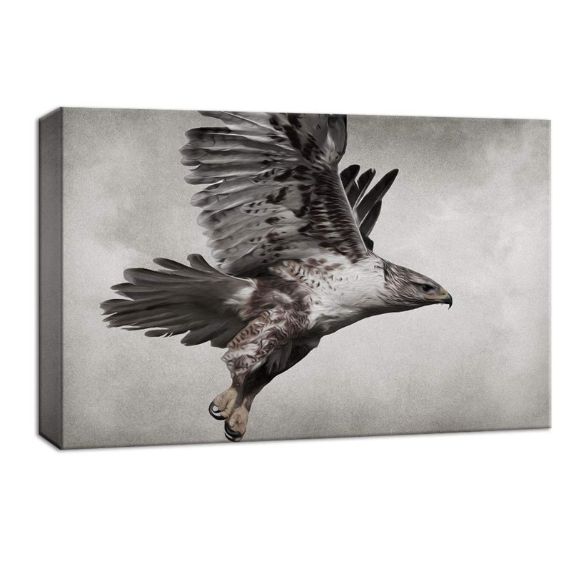 Bird Hawk in Sky Portrait sur fond graphite, animaux sauvages, reproduction sur toile tendue, H 12 po x l 18 po x P 1,5 po