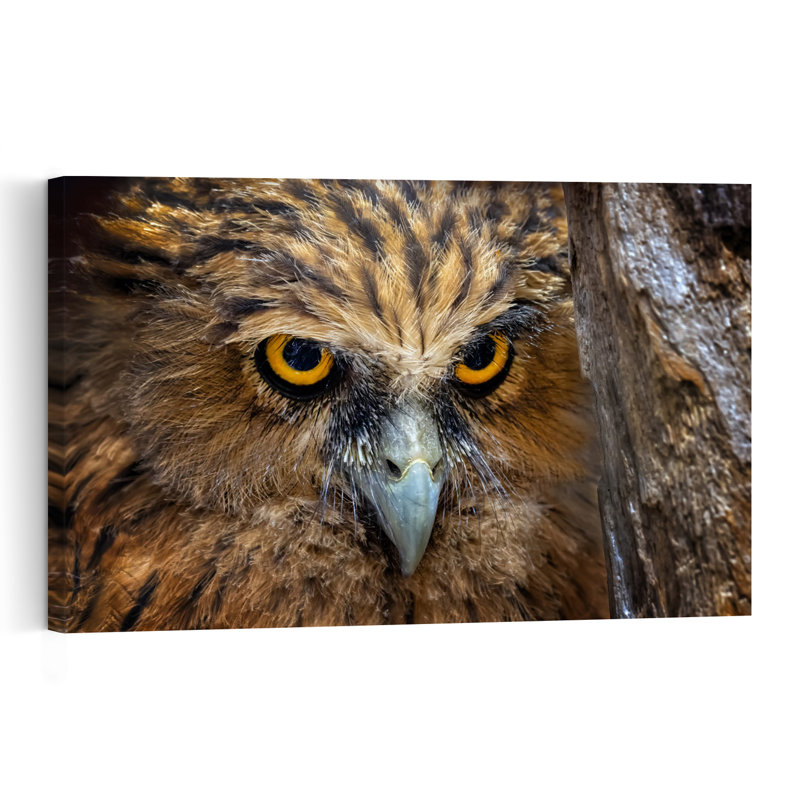 Intense Owl Stare Abstract Contemporary Bird Owl Forest Landscape Wall Art Print 1 Piece Wrapped Canvas Wall Art