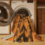Tapis Echoing Ridge-964980894