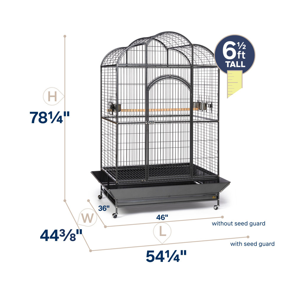 Backes 78.25" Steel Victorian Floor Stand