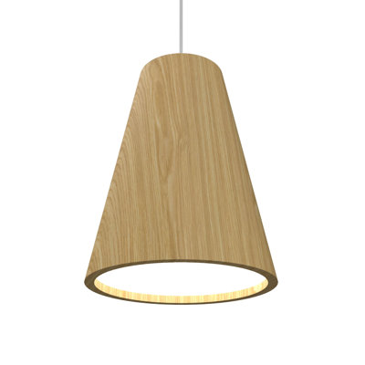 Luminaire suspendu conique 1 lumière DEL 1 lumière
