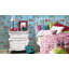 Boys and Girls 10.1m x 53cm Wallpaper-1434840095