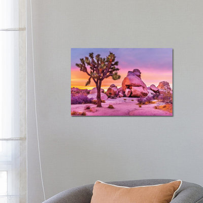 Joshua Tree National Park X by Susanne Kremer - Wrapped Canvas Photograph