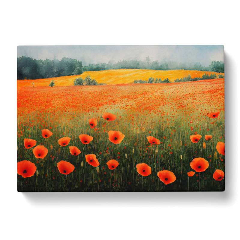Poppy Field Watercolour Vol.3 - Wrapped Canvas, 35cm H x 50cm W x 3cm D