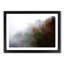 Mist Around the Forest - Picture Frame Graphic Art Print-55733682-55733683