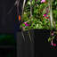 Argentine Trough Planter-94137281