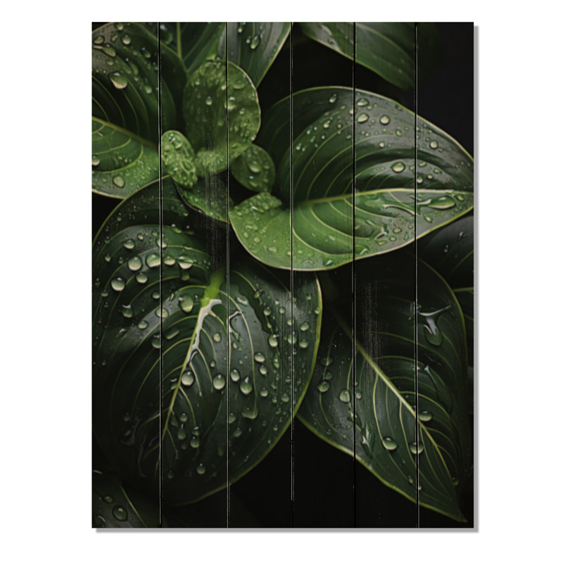 Goutte de pluie sur feuilles vertes sur bois, H 40 po x l 30 po x P 0,78 po