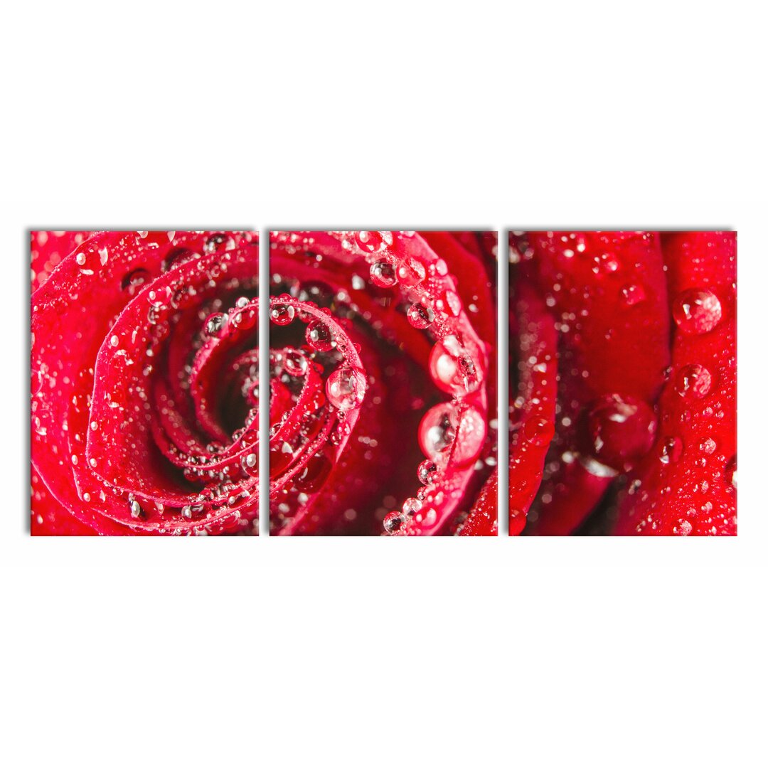 3-tlg. Leinwandbilder-Set Rose with Water Droplets