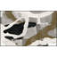 Neutral Soul 3 Painting by Thom Filicia