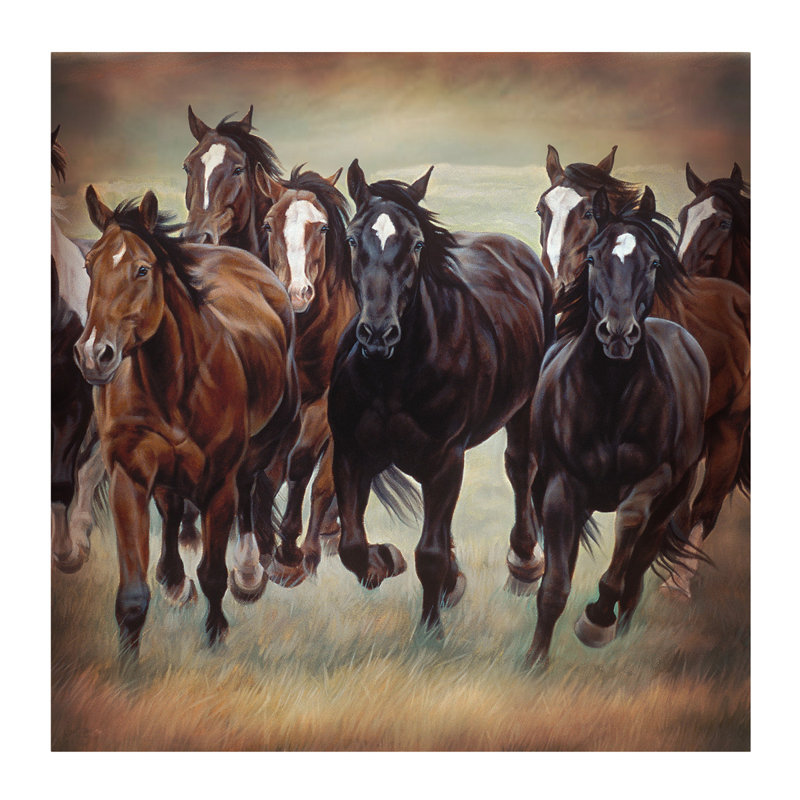Rideau de douche simple à cheval sauvage Margarito
