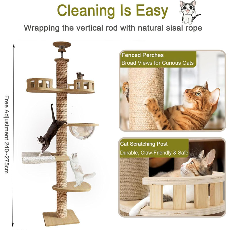 Arbre à chat gris pour les loisirs en intérieur - Grattoir, perchoirs et pont 5 pièces Chats avec planche