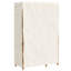 Ameryst 110 cm Clothes Rack