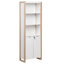 Alanys 184 cm H x 64 cm W Book Cabinet Bookcase