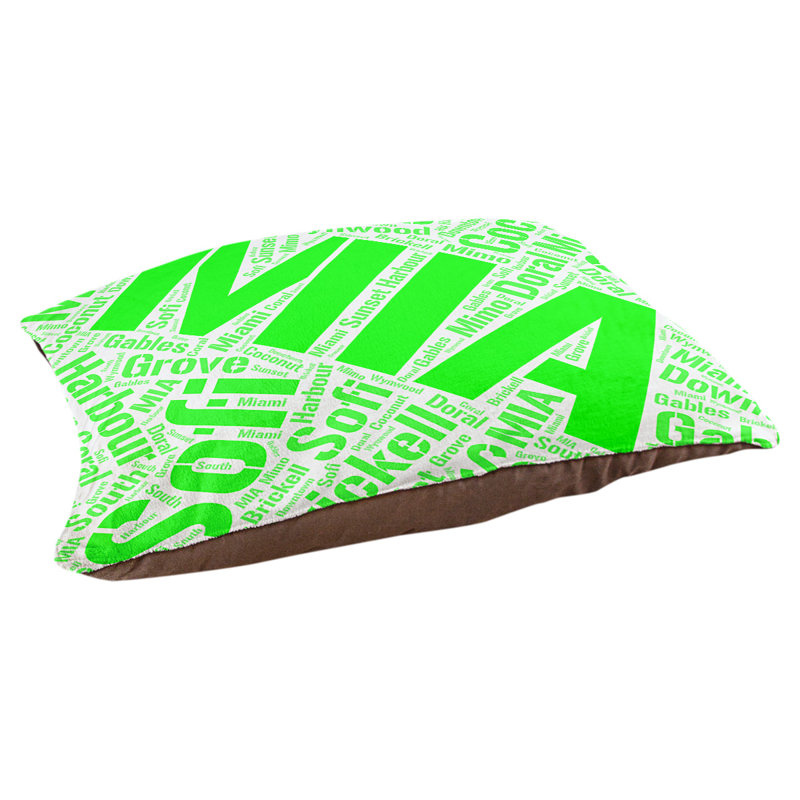 Coussin de chien « districts », Grand (l 40 po x P 30 po x H 14 po), Vert, Miami