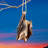 Swinging Bat Tree Dangler