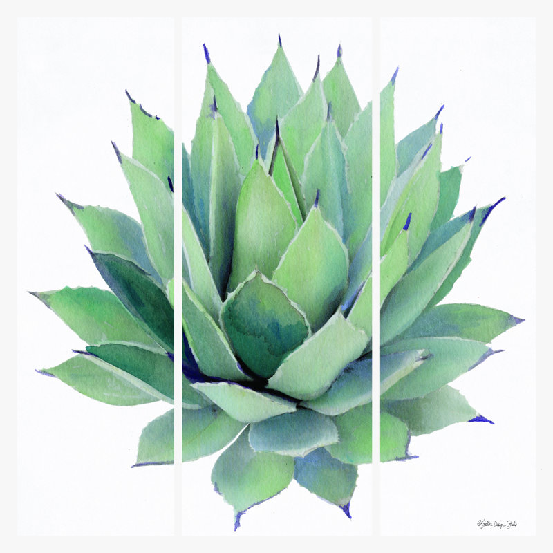«Agave Triptych» par Stellar Design Studio - impression, H 12 po x l 12 po, Toile tendue
