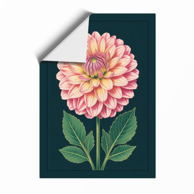 Dahlia Study Botanical - Framed Print