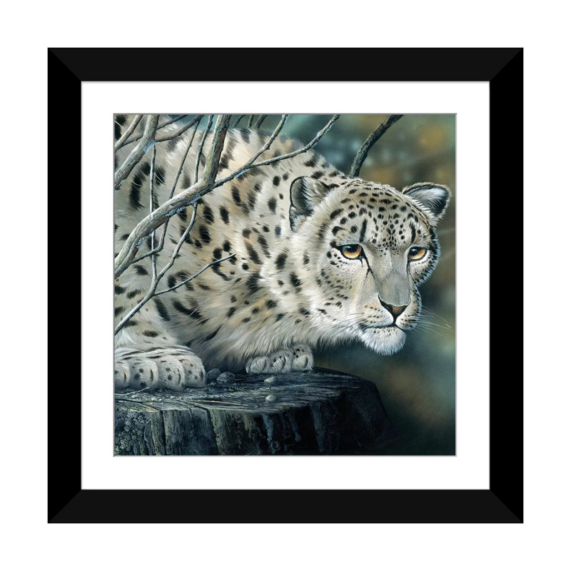 «White Tiger», impression sur toile, H 16 po x l 16 po x P 1 po, Papier d'art encadré noir, Blanc
