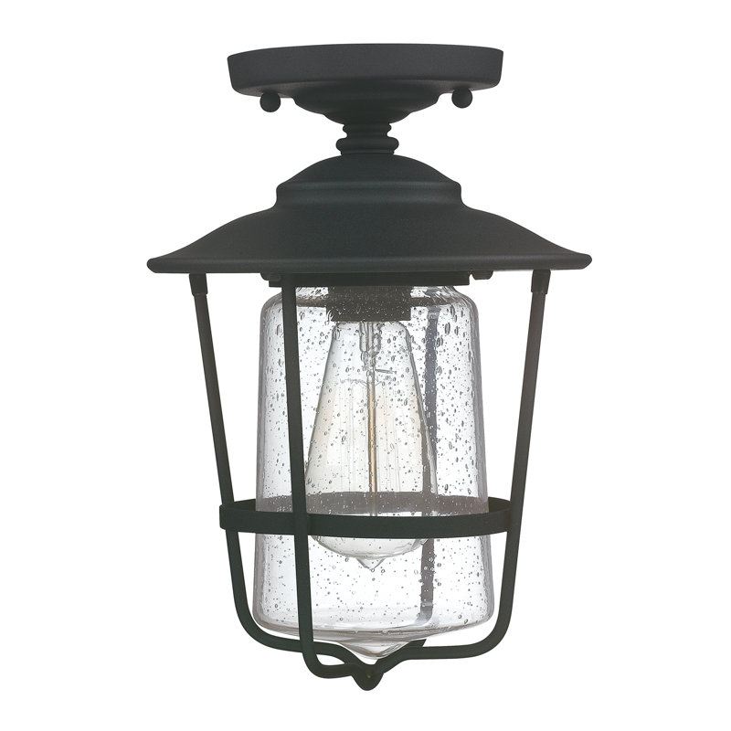 Alcario 1 - Bulb Outdoor Semi Flush Mount, Black