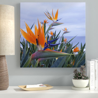 « oiseau of paradise i », reproduction de photo sur toile tendue