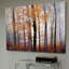 «Lost in the Forest», reproduction de photo sur toile tendue-26230587