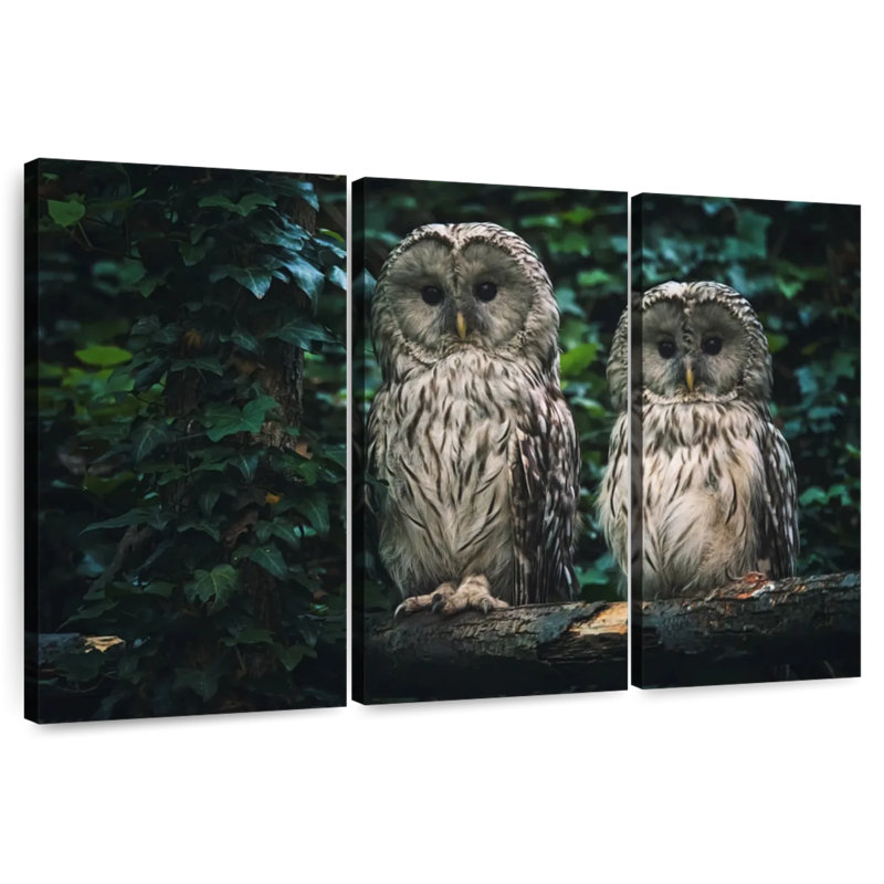 Owls On A Branch, 24" H x 38" W
