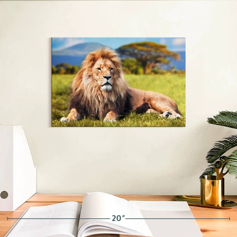 Lion Chill Safari, H 8 po x l 12 po
