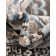 Shanil Oriental Indoor Rug