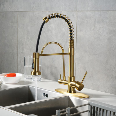 Robinet de cuisine 3 en 1 avec filtre à eau et eau de source