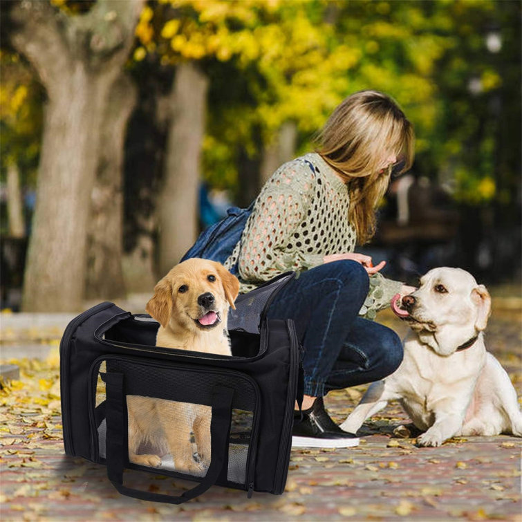 Henkelion Large Cat Carriers Dog Carrier Pet Carrier for Large Cats Dogs Puppies Up to 25lbs, Big Dog Carrier Soft Sided, Collapsible Waterproof