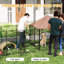 Large Outdoor Dog Kennel | Waterproof & UV-Resistant Canopy | Rotating Adjustable Height Bowls | Coffee Colour
