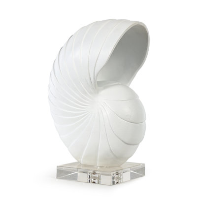 Nautilus Shell Small (White)