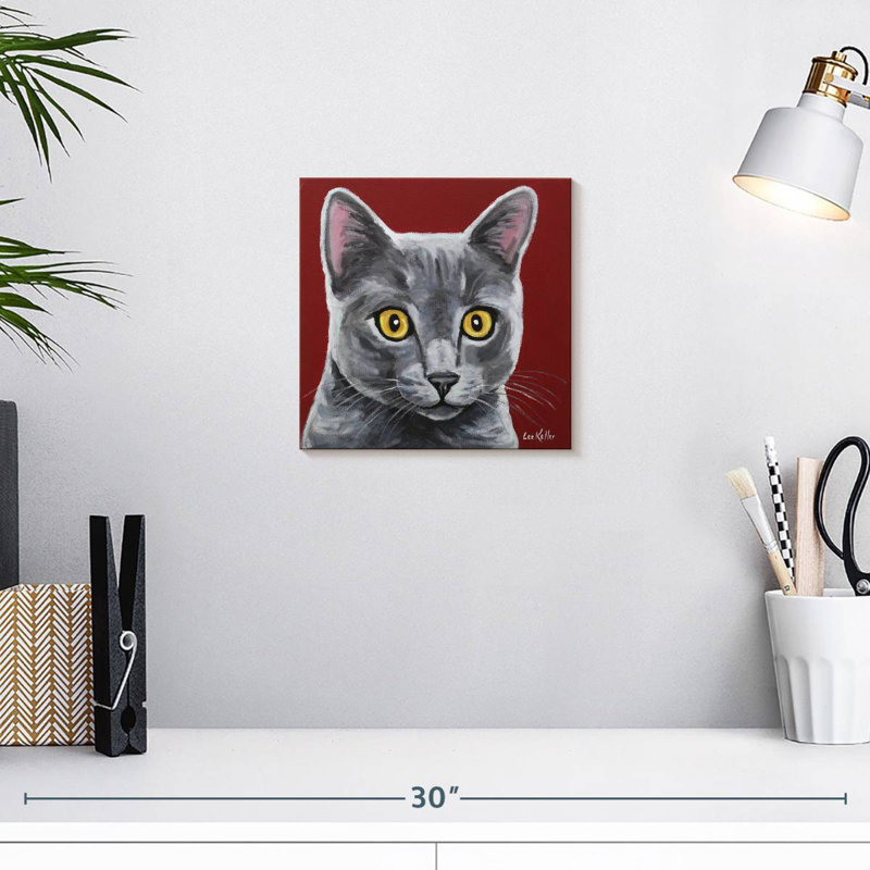 Crowle Gray Cat Oliver