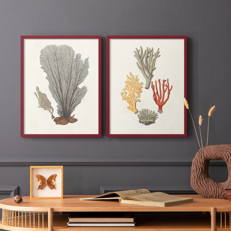 Knorr Shells & Coral III - reproduction encadrée de qualité supérieure - prête à être accrochée - aucun clou requis - aucun clou requis