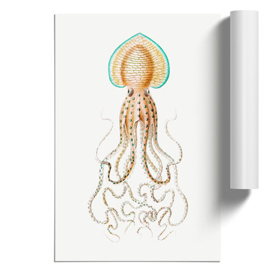 Vintage Squid by Ernst Haeckel - Wall Art