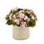 Kalanchoe Arrangement in Fiberstone Pot-1077015223