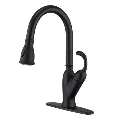 Mondawe Pull Down Kitchen Faucet