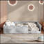 Lit double tapissier sur pied-133357956