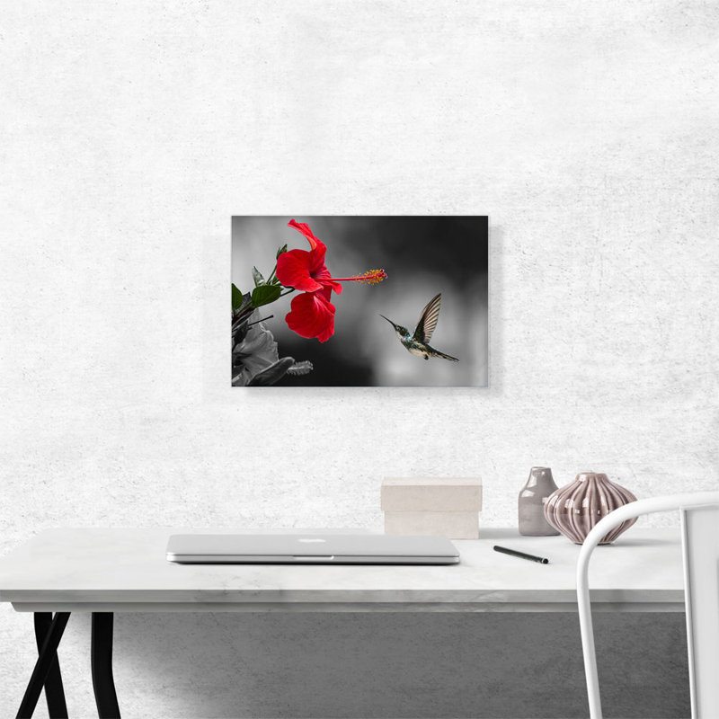 Colibri volant d'une fleur rouge - reproduction de photo sur toile tendue, H 12 po x l 18 po x P 0,75 po