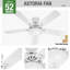 Ventilateur de plafond à 5 pales de 52 po avec chaînette et ensemble d'éclairage inclus Astoria-12031327
