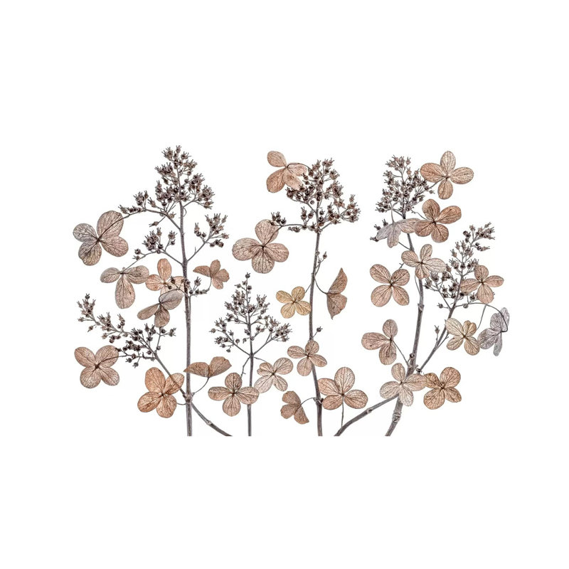 Hydrangea Paniculata 1 Piece Wrapped Canvas Painting, 20.32 cm H x 30.48 cm W