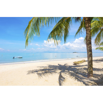 Palm Tree At Beach In Penang, Malaysia - Wrapped Canvas Print