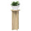 Plant Stand - Set of 2-1351275716