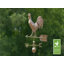 Girouette coq-1756424834