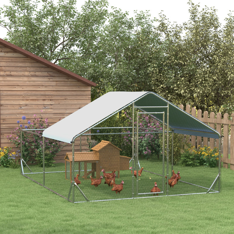 129m² Walk In Chicken Run