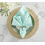 Borealis Napkin Ring