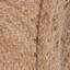 Ajena Area Rug-1539569613
